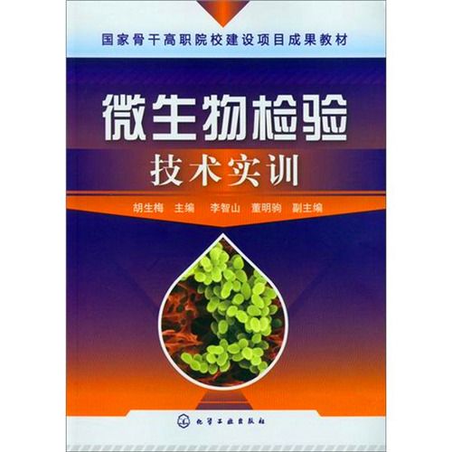 微生物檢驗技術實訓