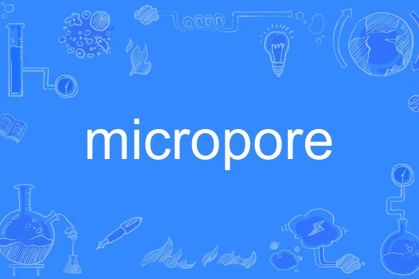 micropore