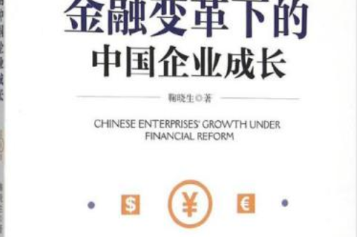 金融變革下的中國企業成長