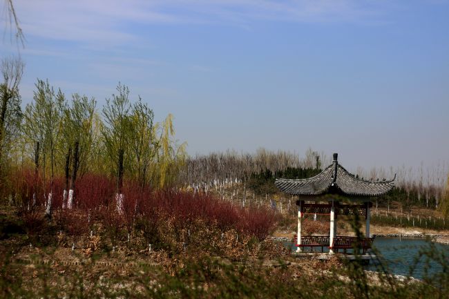 山東馬踏湖國家濕地公園