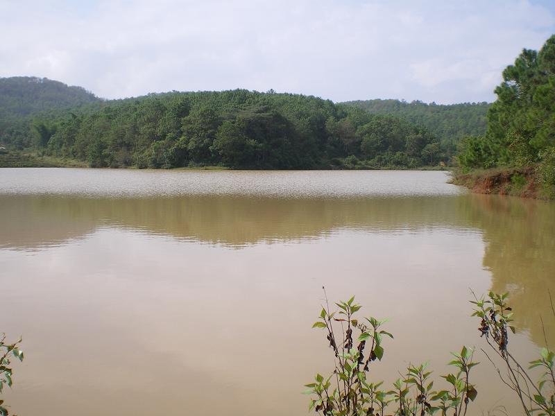 庥栗山村