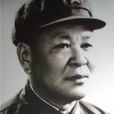 阮平(六十三軍副軍長)