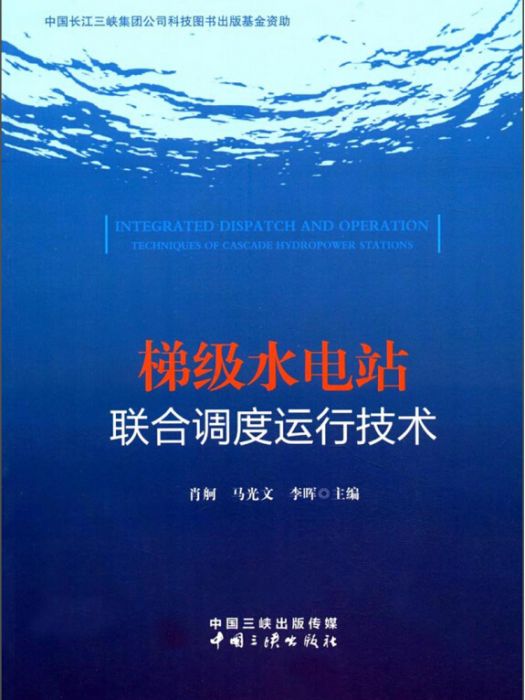 梯級水電站聯合調度運行技術