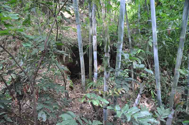 橫茶古窯址