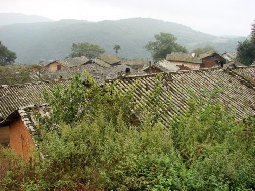 阿底村(雲南省昆明市官渡區大板橋鎮下轄村)