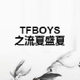 TFBOYS之流夏盛夏