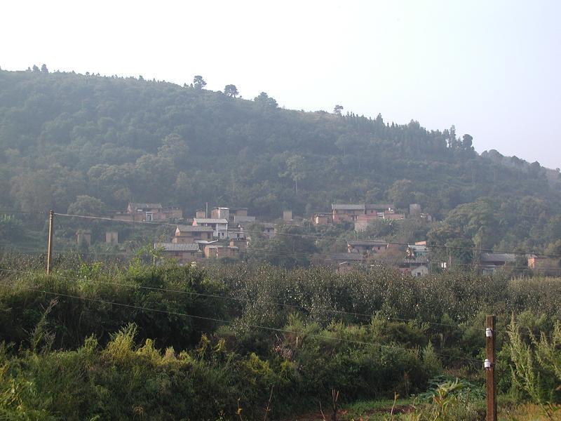 它黑尼村