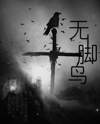 無腳鳥(紀念張國榮逝世十周年歌曲)