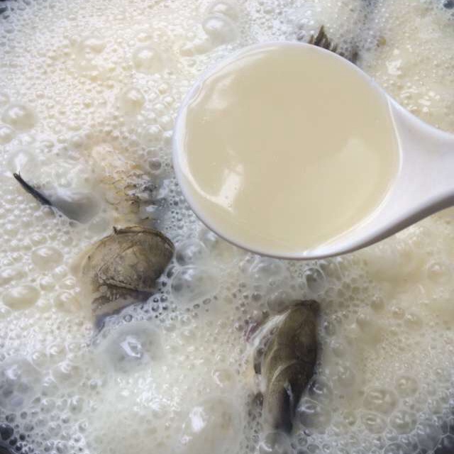 鯽魚奶白濃香豆腐湯