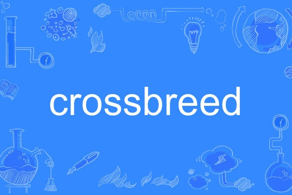 crossbreed