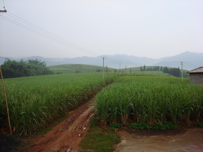 坪山自然村(雲南隴川縣景罕鎮下轄村)