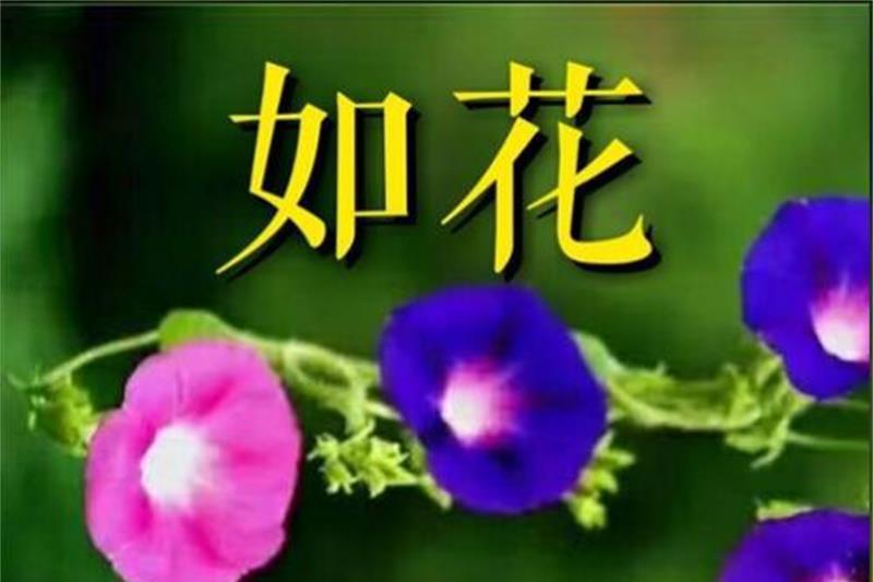 如花(巫尚金演唱歌曲)