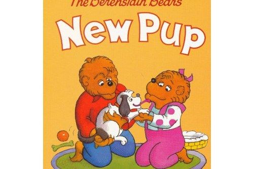 The Berenstain Bears\x27 New Pup