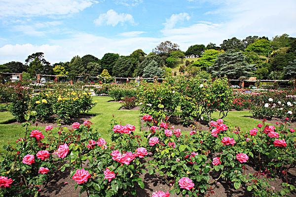 四川香草植物園