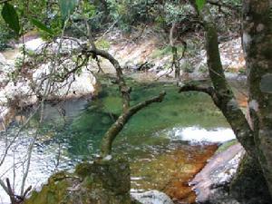 龍巖山國家森林公園