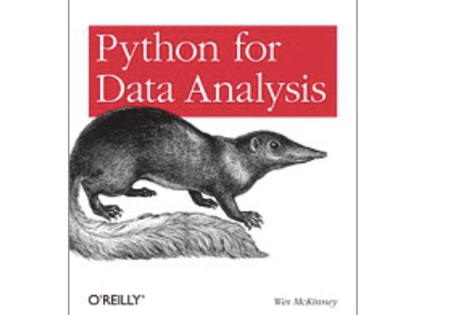 Python for Data Analysis