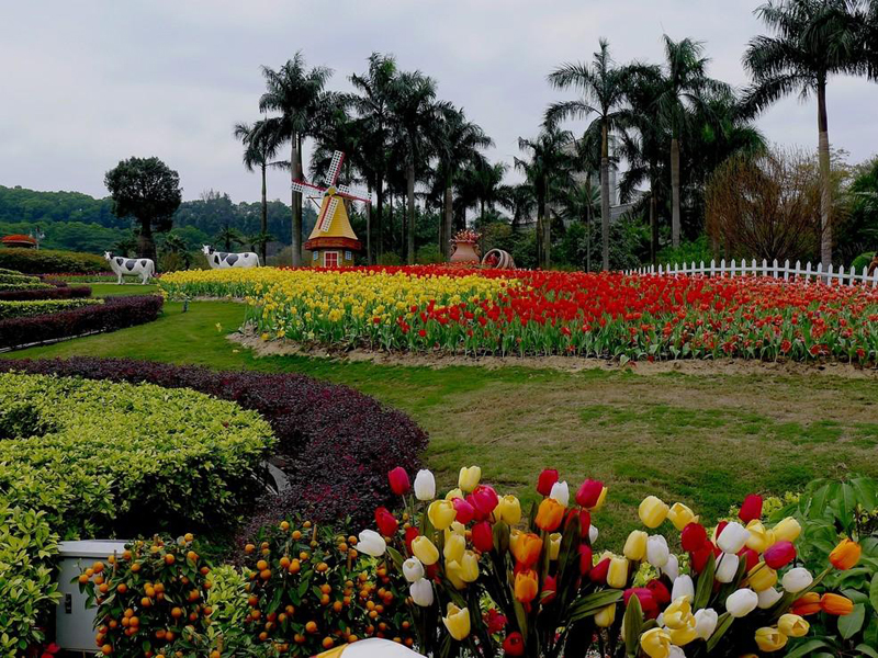 廣州白雲山雲台花園