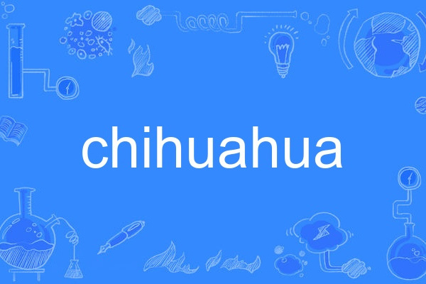 Chihuahua