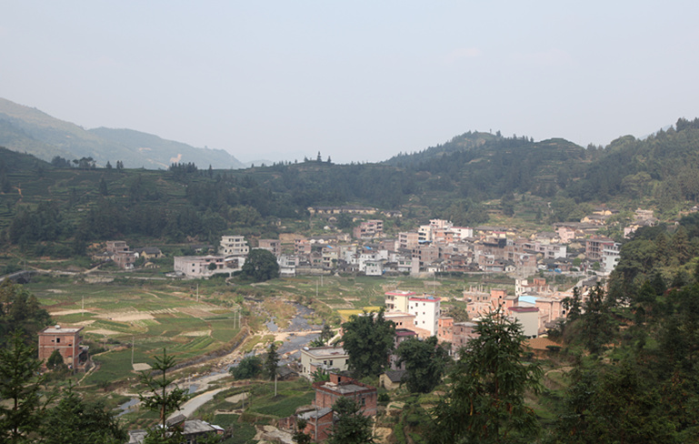 龍嶺村(江西省贛州市經濟技術開發區龍嶺村)