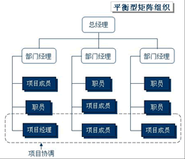 平衡矩陣型組織