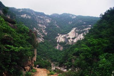 伏牛山國家級自然保護區