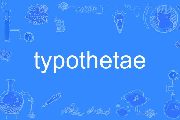 typothetae