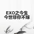 EXO之今生今世非你不嫁