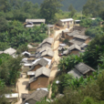 平地村(雲南省漾濞彝族自治縣太平鄉平地村)