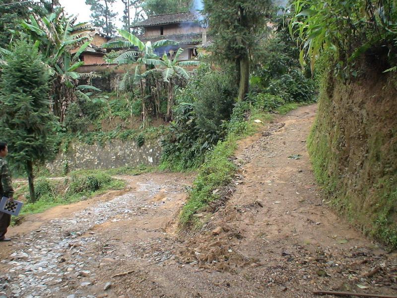 進村道路