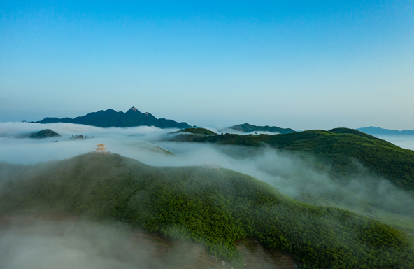 雲 台 山