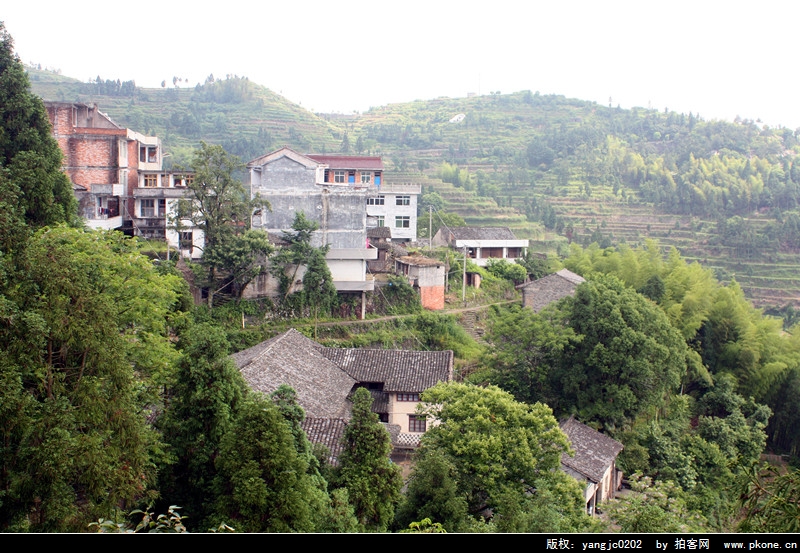 鄭山村(雲南省保山騰衝縣芒棒鎮鄭山村)