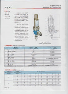 A61H安全閥；博通閥門