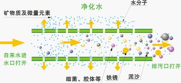 沃瑪特