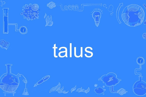 talus