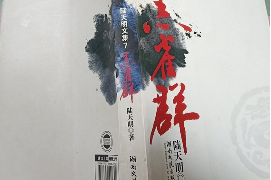 黑雀群(2008年湖南文藝出版社出版的圖書)