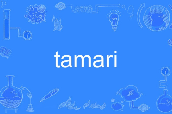 tamari