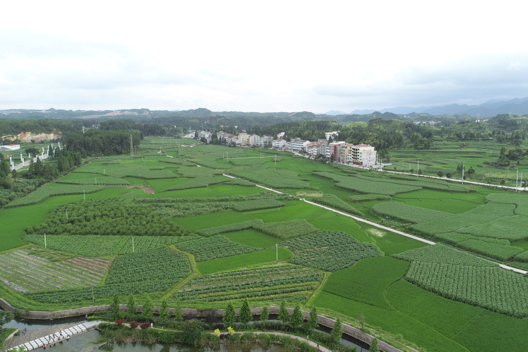 新南村(浙江省溫州市文成縣南田鎮下轄村)