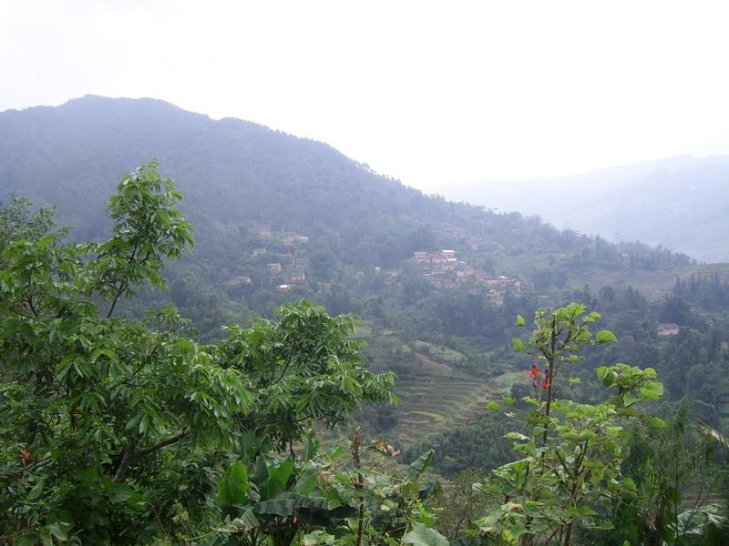 中嶺崗自然村(雲南省金平縣大寨鄉下轄村)