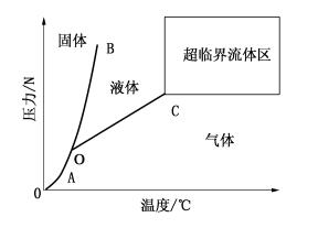 純物質的相圖