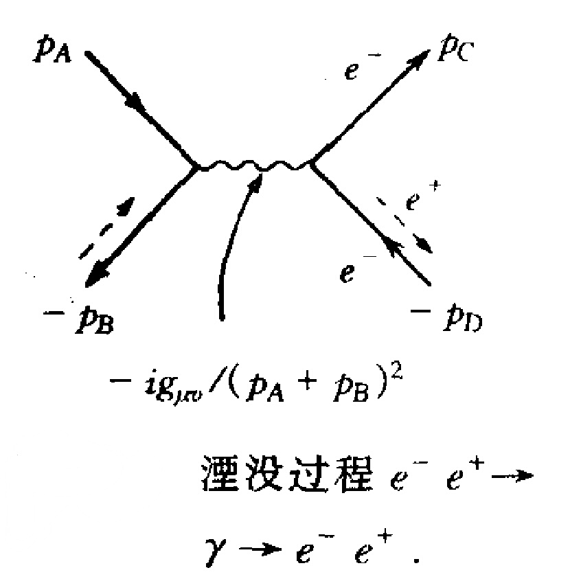 傳播子