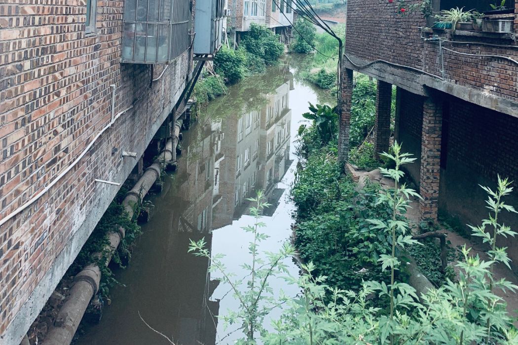 深溪河(自貢市富順縣福善鎮韓咀村境內的一條河流)