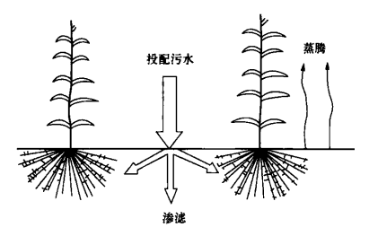 慢速滲透處理系統示意圖