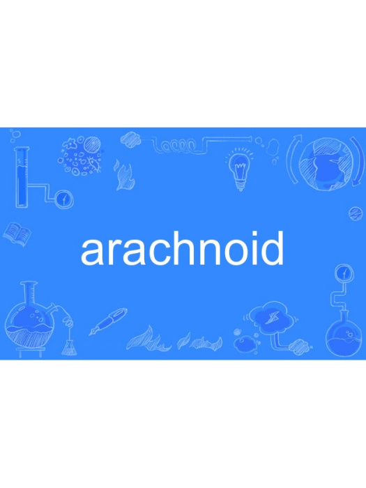 arachnoid