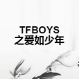 TFBOYS之愛如少年