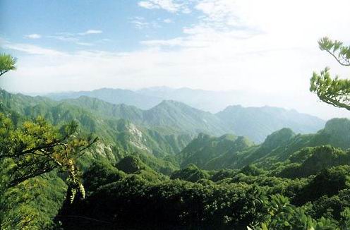 夏家溝森林生態景區