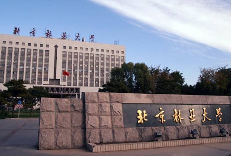 北京林業大學信息學院