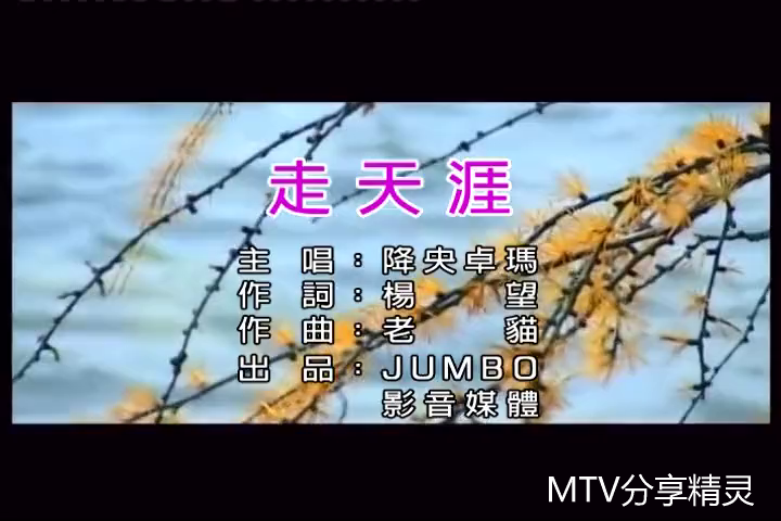 走天涯(降央卓瑪演唱歌曲)