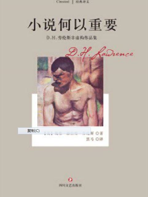 小說何以重要