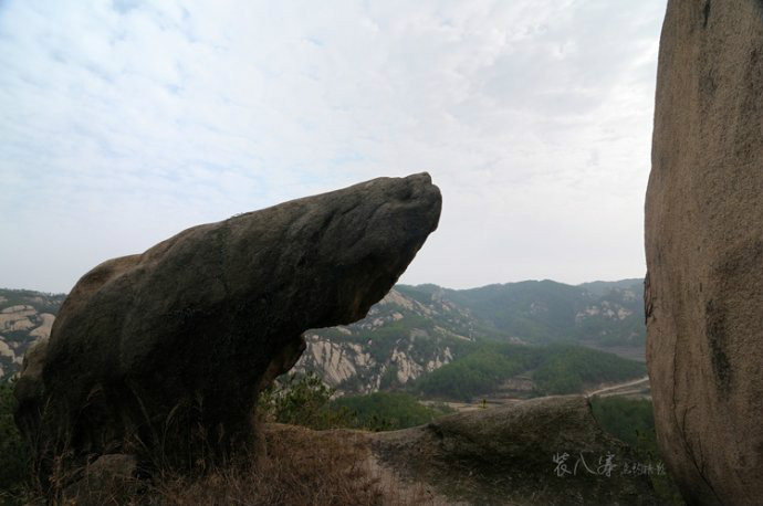 穿山甲（點釣攝）