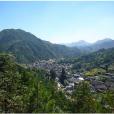 張家地村(浙江麗水市雲和縣雲豐鄉下轄村)